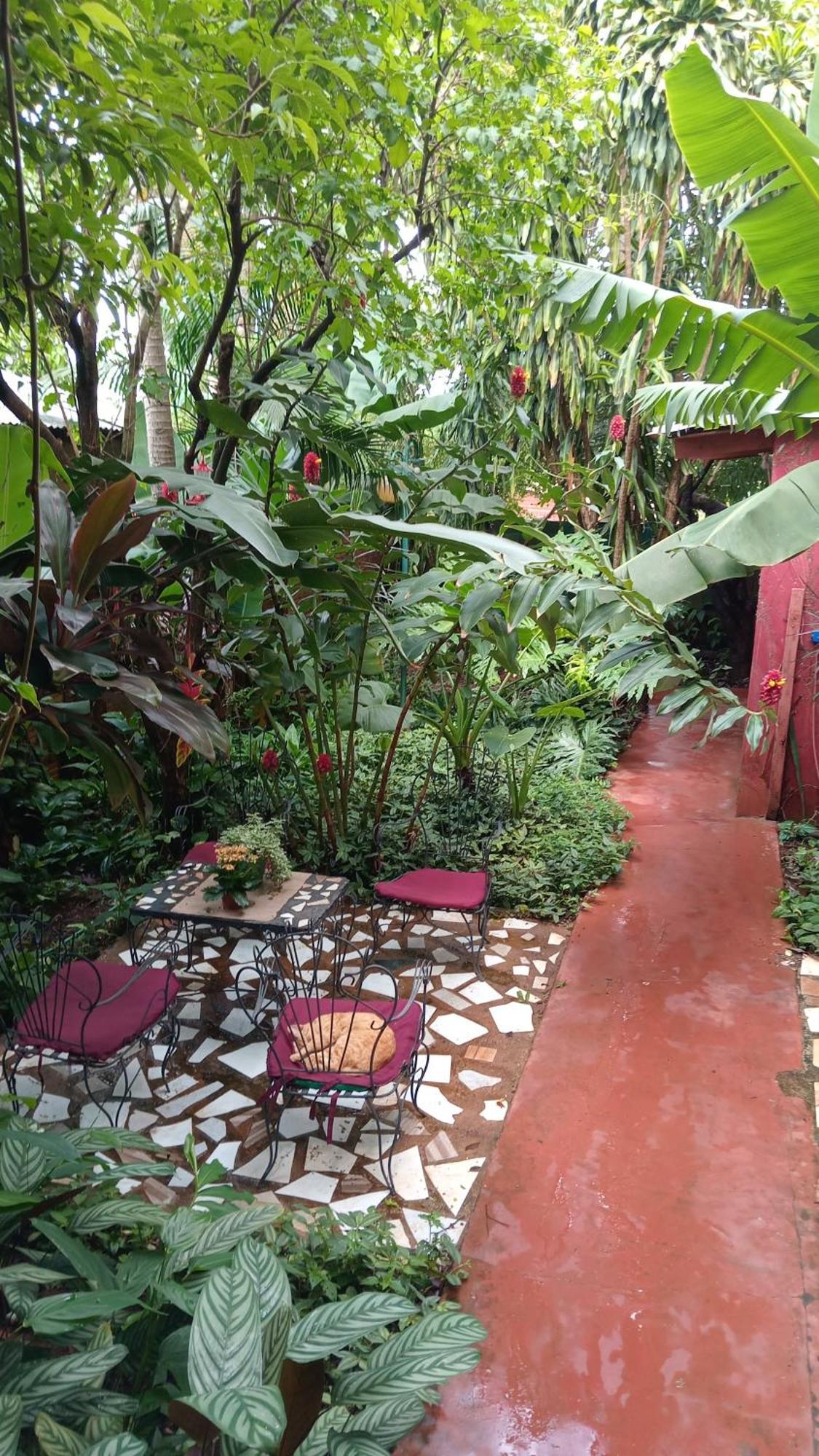 Posada Maria Iguazu Пуерто Игуасу Екстериор снимка