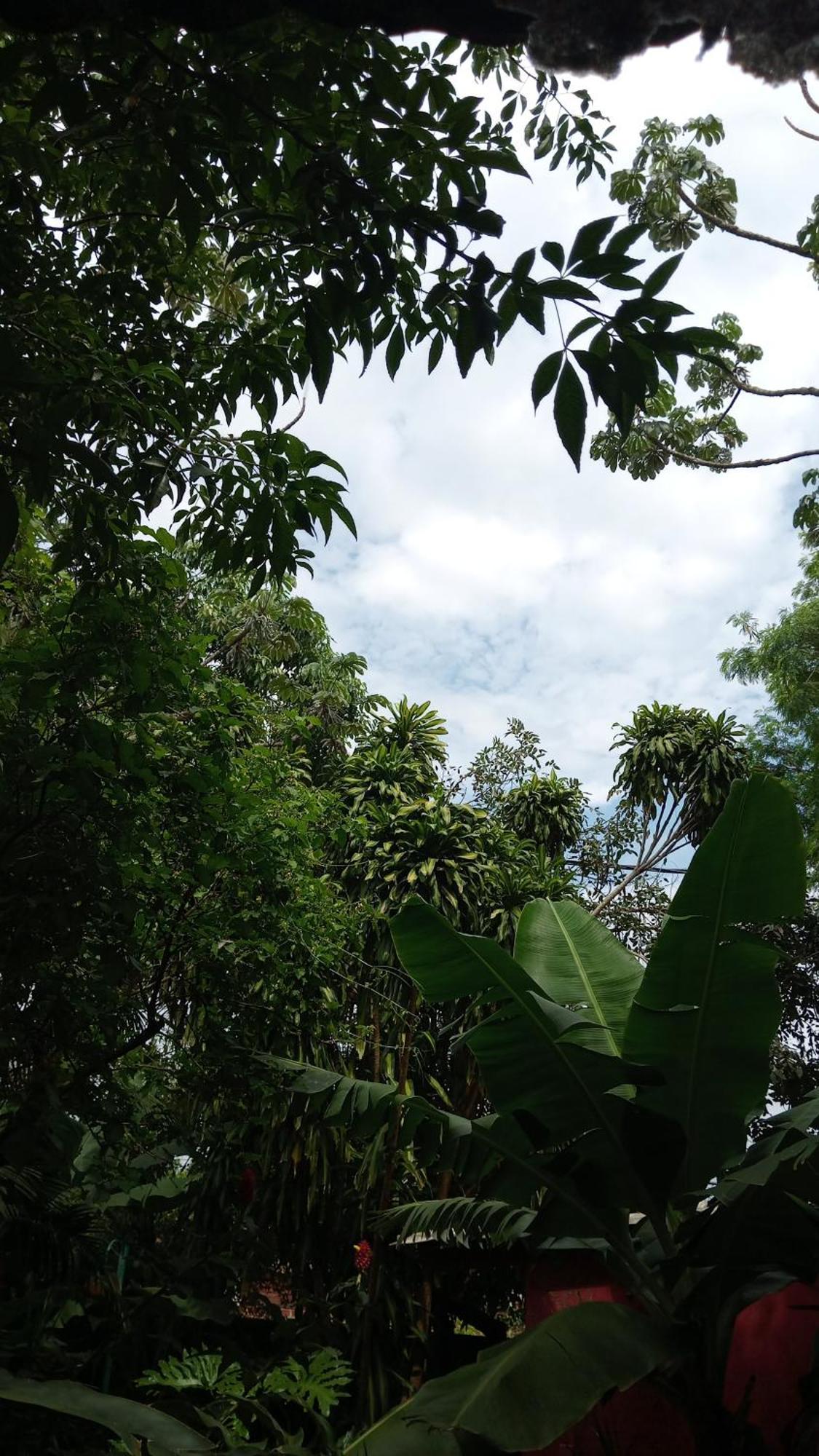 Posada Maria Iguazu Пуерто Игуасу Екстериор снимка