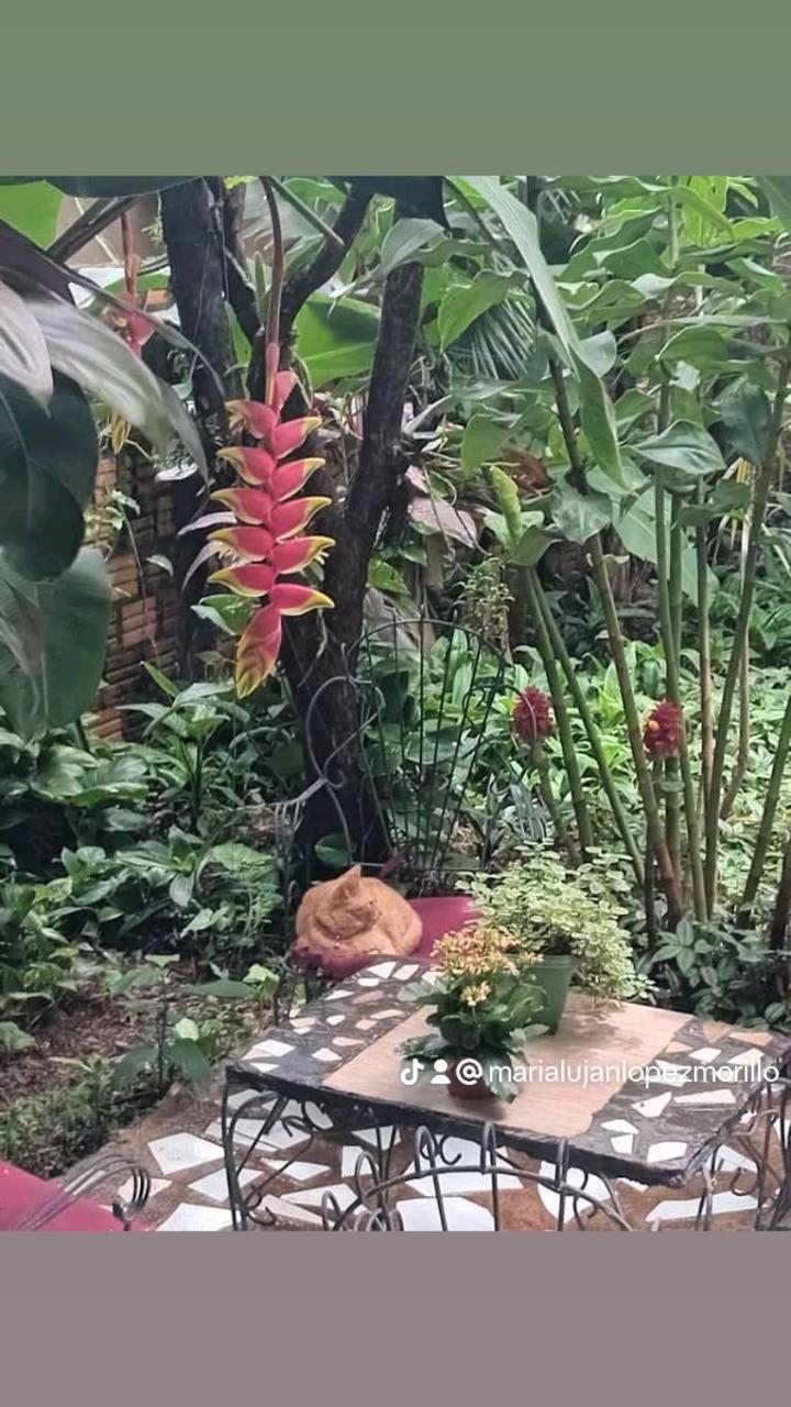 Posada Maria Iguazu Пуерто Игуасу Екстериор снимка