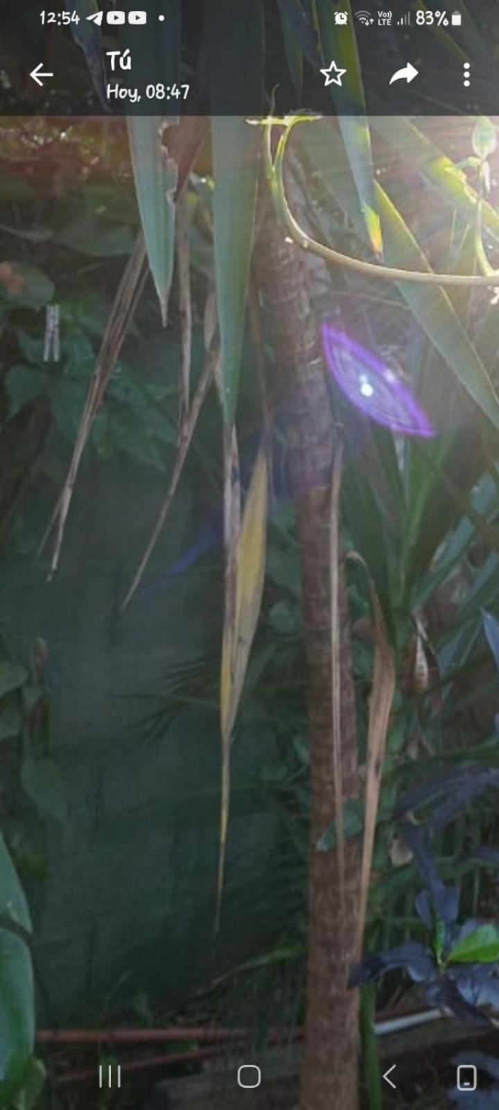 Posada Maria Iguazu Пуерто Игуасу Екстериор снимка