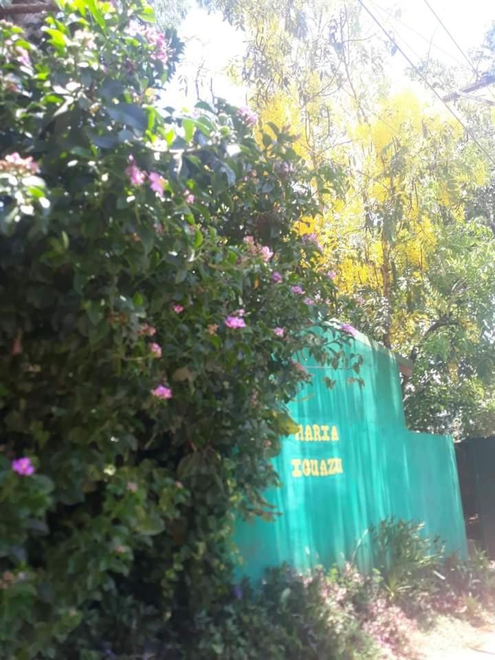 Posada Maria Iguazu Пуерто Игуасу Екстериор снимка
