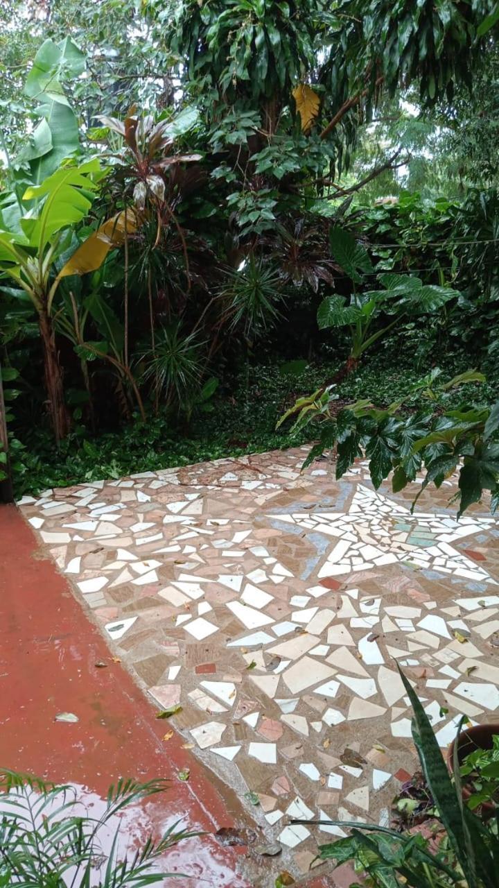 Posada Maria Iguazu Пуерто Игуасу Екстериор снимка