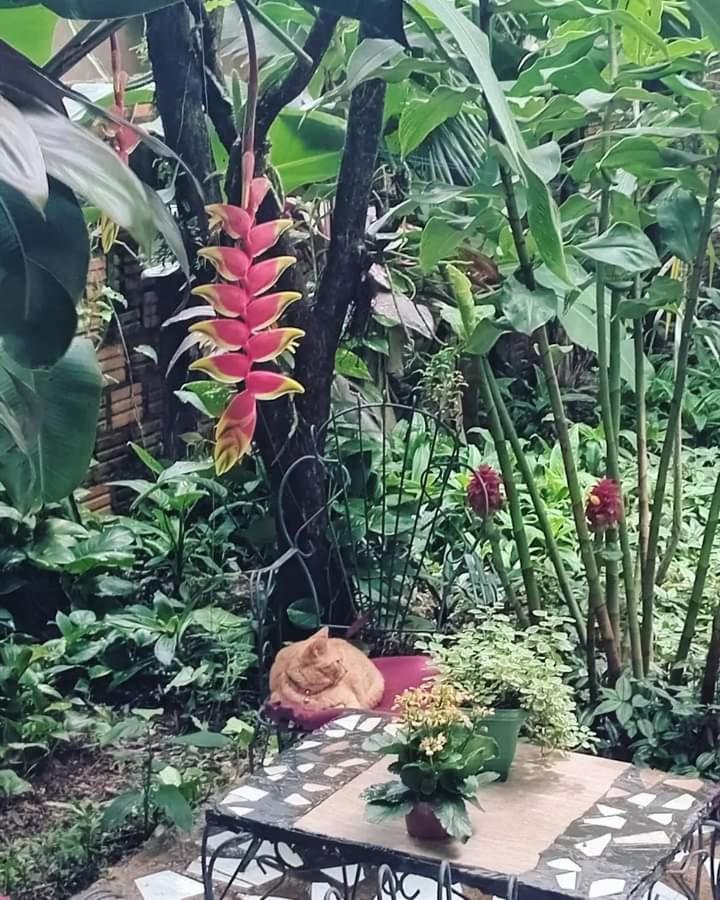 Posada Maria Iguazu Пуерто Игуасу Екстериор снимка