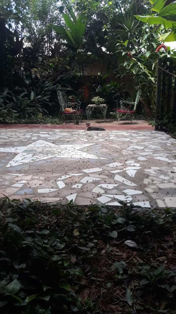 Posada Maria Iguazu Пуерто Игуасу Екстериор снимка