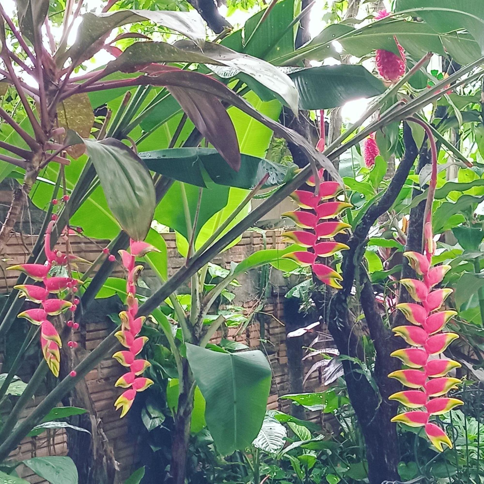 Posada Maria Iguazu Пуерто Игуасу Екстериор снимка